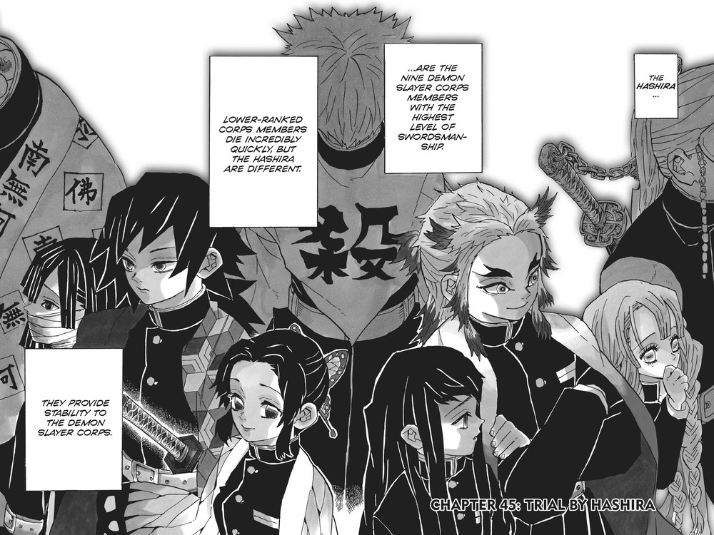 Demon Slayer: Kimetsu no Yaiba Vol. 6 (VIZ Media), p.32 — the same portrait: "THE HASHIRA... ARE THE NINE DEMON SLAYER CORPS MEMBERS WITH THE HIGHEST LEVEL OF SWORDSMANSHIP." / "THEY PROVIDE STABILITY TO THE DEMON SLAYER CORPS." / "CHAPTER 45: TRIAL BY HASHIRA."