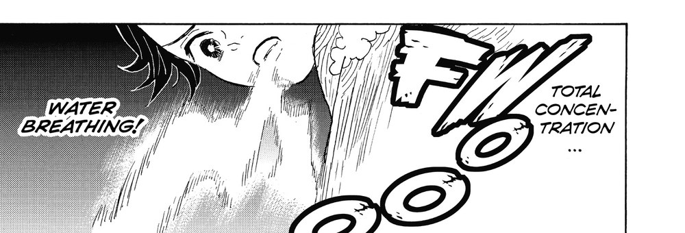 Demon Slayer: Kimetsu no Yaiba Vol. 1 (VIZ Media), p.161 — the same panel: "TOTAL CONCEN-TRATION..." / "WATER BREATHING!"