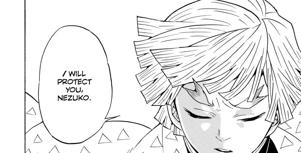 Demon Slayer: Kimetsu no Yaiba Vol. 7 (VIZ Media), p.160 — the same panel: "I WILL PROTECT YOU, NEZUKO."