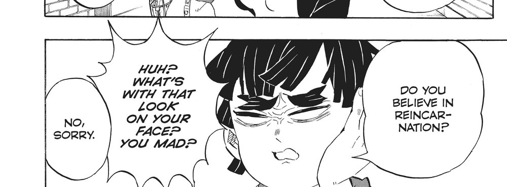 Demon Slayer: Kimetsu no Yaiba Vol. 23 (VIZ Media), p.198 — the same panel: "HUH? WHAT'S WITH THAT LOOK ON YOUR FACE? YOU MAD?" / "DO YOU BELIEVE IN REINCARNATION?"