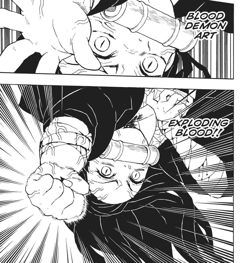 Demon Slayer: Kimetsu no Yaiba Vol. 5 (VIZ Media), p.119 — the matching panel: "BLOOD DEMON ART" and "EXPLODING BLOOD!!"