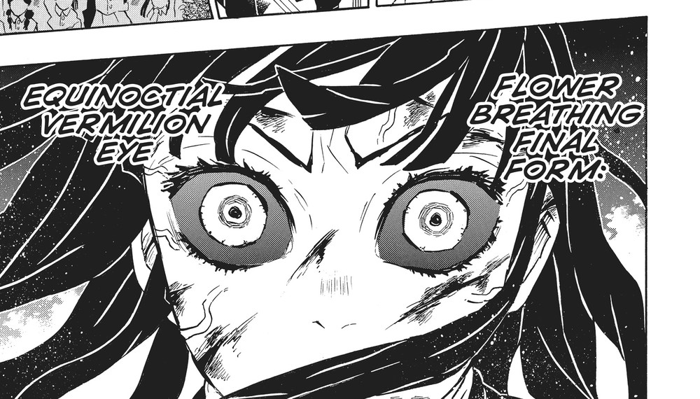 Demon Slayer: Kimetsu no Yaiba Vol. 19 (VIZ Media), p.45 — this stretch of Vol. 19 runs one page ahead in VIZ's English pagination: "EQUINOCTIAL VERMILION EYE" and "FLOWER BREATHING FINAL FORM:"