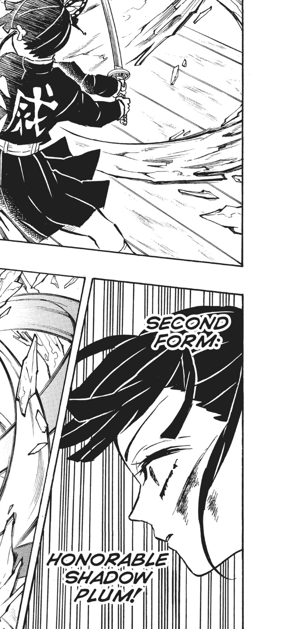 Demon Slayer: Kimetsu no Yaiba Vol. 18 (VIZ Media), p.137 — this stretch of Vol. 18 runs one page ahead in VIZ's English pagination: "SECOND FORM: HONORABLE SHADOW PLUM!"