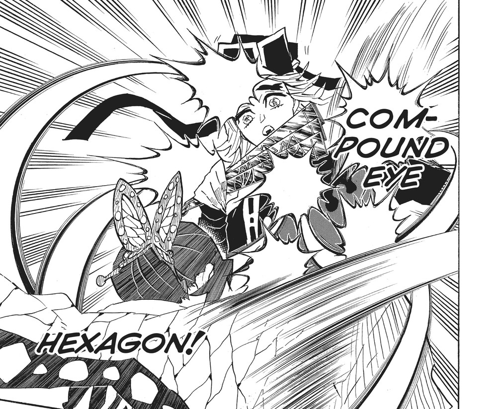 Demon Slayer: Kimetsu no Yaiba Vol. 16 (VIZ Media), p.177 — no pagination offset: "COM-POUND EYE" and "HEXAGON!"