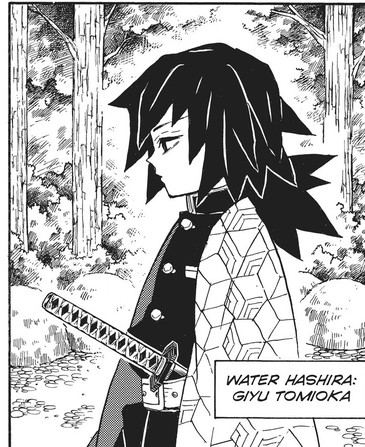 Demon Slayer: Kimetsu no Yaiba Vol. 6 (VIZ Media), p.38 — the same panel: "WATER HASHIRA: GIYU TOMIOKA"