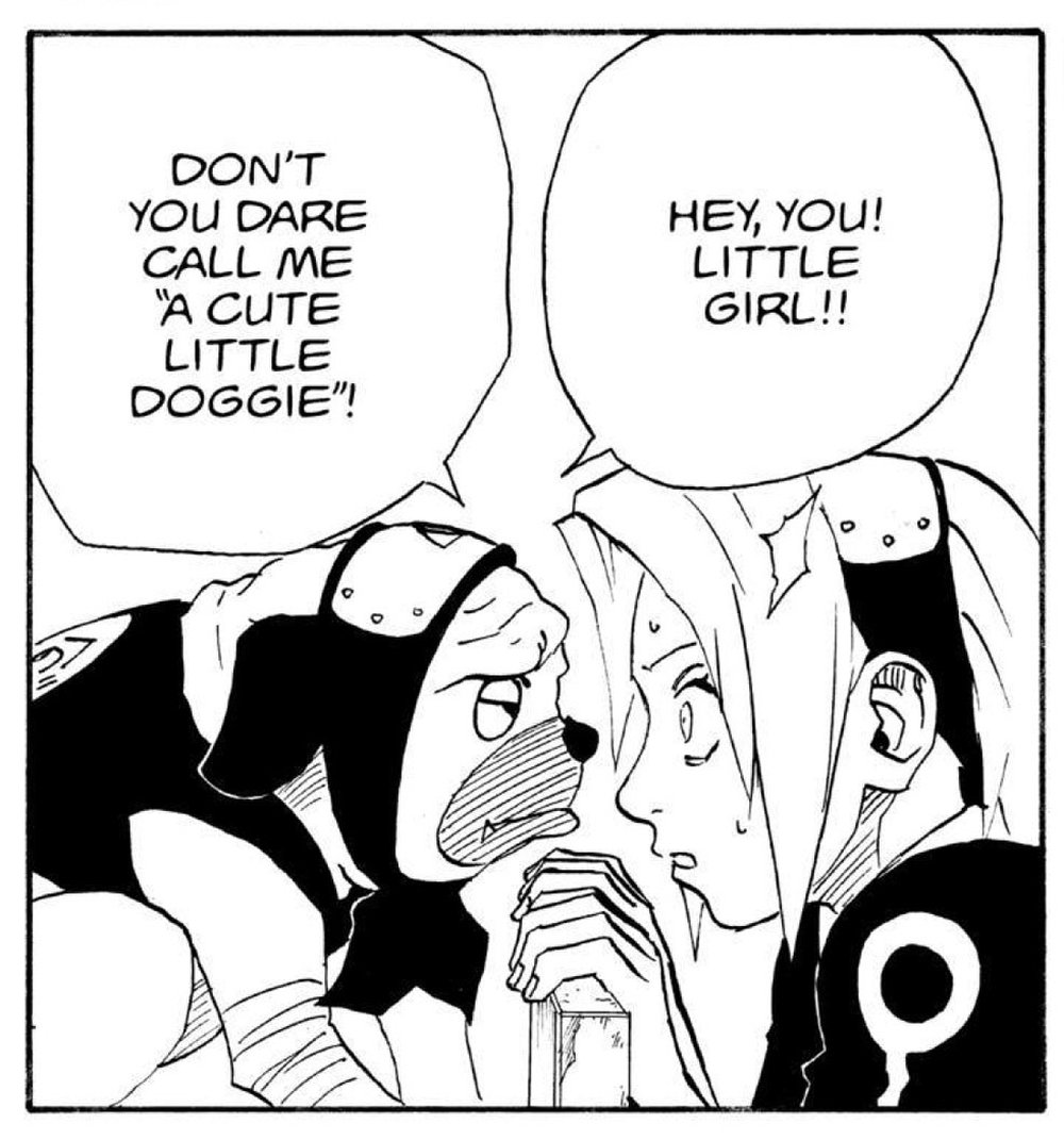 Naruto Vol. 13 (VIZ Media), p.169 — the same beat: "DON'T YOU DARE CALL ME 'A CUTE LITTLE DOGGIE'!" / "HEY, YOU! LITTLE GIRL!!"