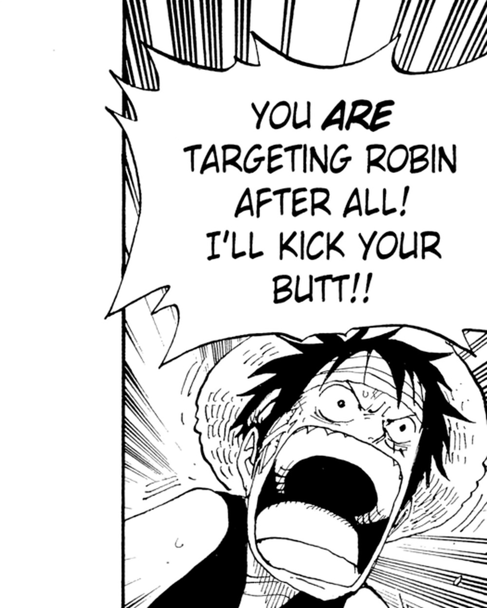 One Piece Vol. 34 (VIZ Media), p.74 — the same panel: "YOU ARE TARGETING ROBIN AFTER ALL! I'LL KICK YOUR BUTT!!"