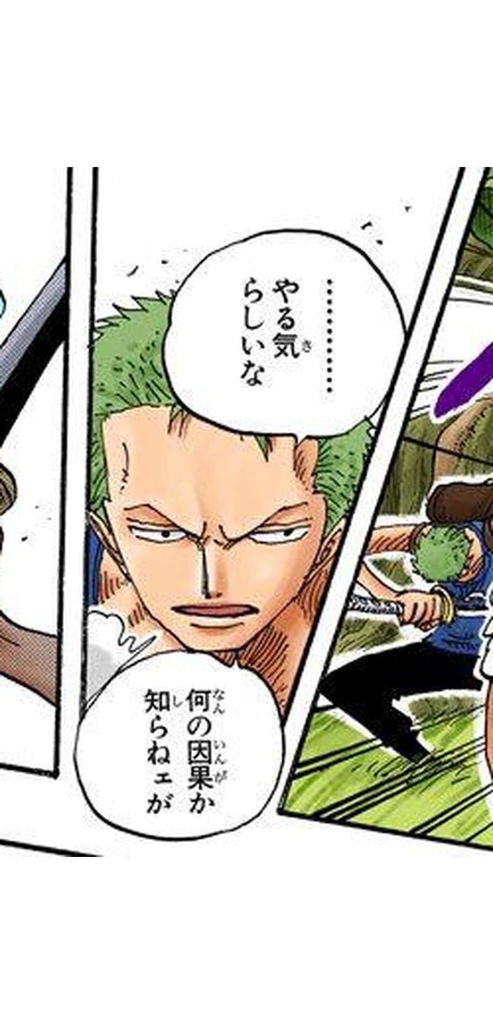 One Piece Vol. 28, p.54 (Japanese, digital colored edition) — Zoro, sword half-drawn, faces down two winged attackers and murmurs 「やる気らしいな」then 「何の因果か知らねェが」(furigana なん over 何, いんが over 因果).
